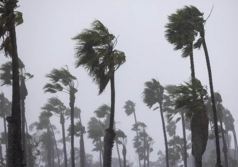 Heavy rains will continue in Tamil Nadu for 3 days!