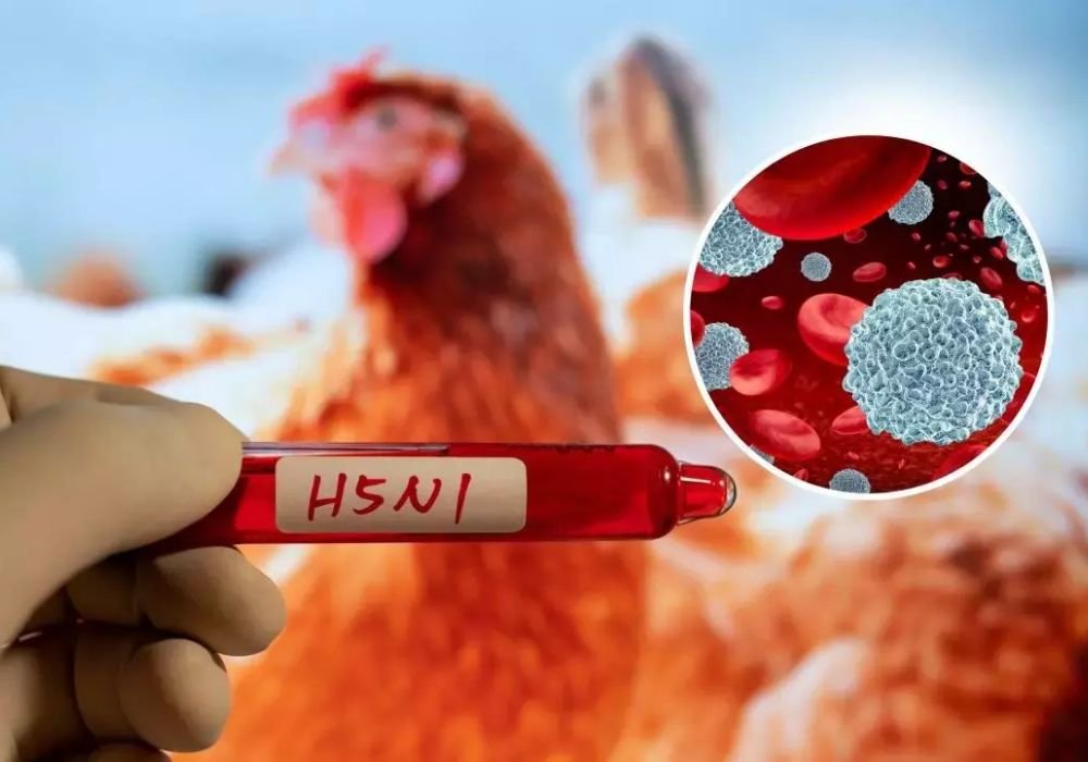Bird flu in Kerala; TN Health Department advisory to the public!