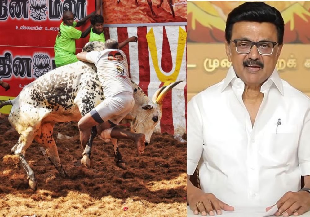 CM stalin is inaugurate the Alanganallur Jallikattu competition!